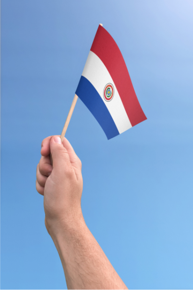 Acesso a Ve�culos Importados